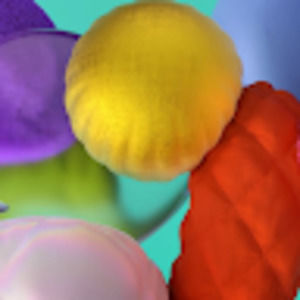 Meet your Posher, Nyaban